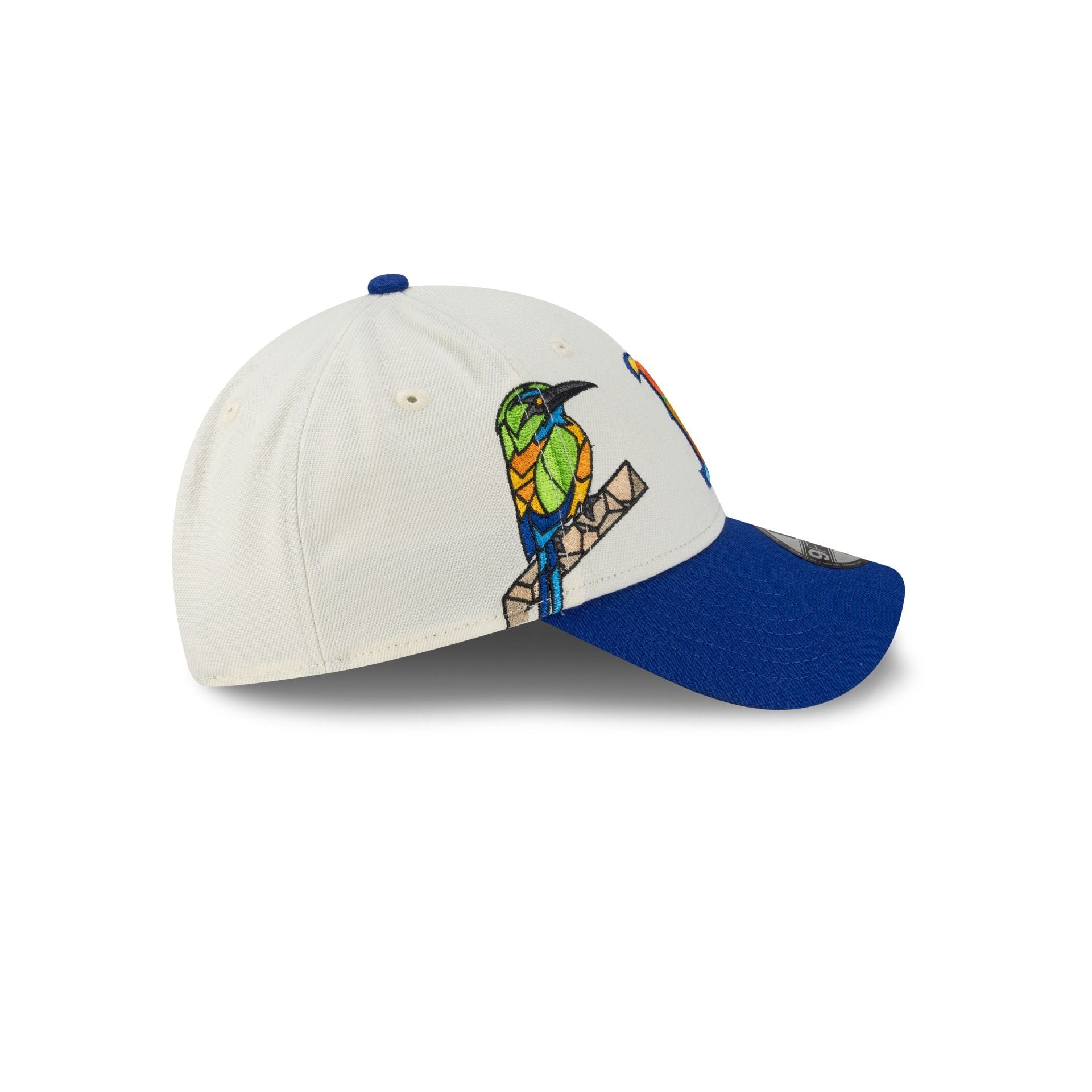 Boston Red Sox El Salvador City Elements 9FORTY Snapback Hat